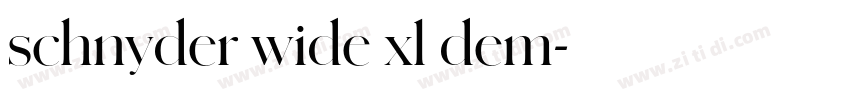 schnyder wide xl dem字体转换